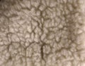 Sheep wool texture white Royalty Free Stock Photo