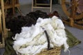 Sheep wool