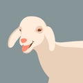 Sheep young flat style vector illustration profile view head Royalty Free Stock Photo