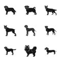 Sheepdog, dachshund, bernard, and other web icon in black style.Spitz, boxer, beagle, icons in set collection.