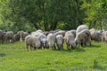 A sheepfold atop of the hill in Transylvania Royalty Free Stock Photo