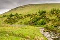 Sheepfold besides the River Coquet Royalty Free Stock Photo