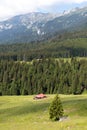 Sheepfold cabin in the mountains