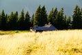 Sheepfold at the edge of the forest, Papusa Mountain, Romania Royalty Free Stock Photo