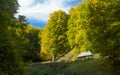 Sheepfold in a forest Royalty Free Stock Photo