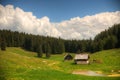 Sheepherd cottages on Pokljuka Plateau in Slovenia central Europe