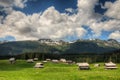 Sheepherd cottages on Pokljuka Plateau in Slovenia central Europe