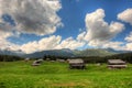 Sheepherd cottages on Pokljuka Plateau in Slovenia central Europe