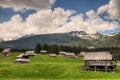 Sheepherd cottages on Pokljuka Plateau in Slovenia central Europe