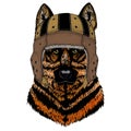 Sheepherd dog, sheepdog portrait. Rugby leather helmet. Head of pet. Animal face.