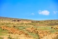 Sheepherder with herd