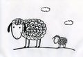 Sheeps