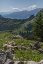 Sheeps between the beautiful swiss alps near toggenburg