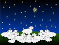 Flock of sheep stands on the field and looking up at the big star, night sky.