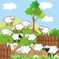 Sheeps, pasture,landsape, large group of animals, eps. Royalty Free Stock Photo