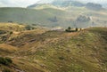 Sheeps grazing on green hills at sunny autumn day. Cascades of beautiful mountains and farm animals around Royalty Free Stock Photo