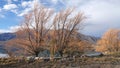 Sheepherd at wateredge of Benmore lake, New Zealand Royalty Free Stock Photo