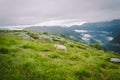 sheeps on mountain farm on cloudy day. Norwegian landscape with sheep grazing in valley. Sheep on mountaintop Norway Royalty Free Stock Photo