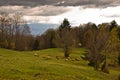 Sheeps on mountain pasture at autumn, Radocelo mountain