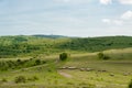 Sheeps, Nature and Landscape in Bulgaria. Cloudy Blue Sky.