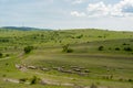Sheeps, Nature and Landscape in Bulgaria. Cloudy Blue Sky.