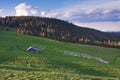 Sheeps Near Sheepfold On Mountain At Sunset Royalty Free Stock Photo