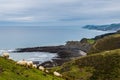 Sheeps pasturing in Zumaia coast Royalty Free Stock Photo