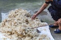 Sheeps processing of sheep`s wool traditional