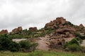 Sheeps roaming around the hill of Hampi, probably unguided