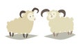 Sheeps vector icon