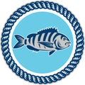 Sheepshead Fish Rope Circle Retro