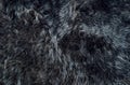 Sheepskin rug dark background texture Sheep fur Royalty Free Stock Photo