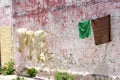 Sheepskin on Washing Line, Tangier, Morocco