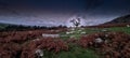 Sheepstor Dartmoor National Park Devon Uk