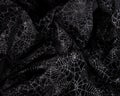 Sheer black voile with silver cobwebs backdrop