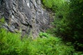 Sheer cliff with trees at whiteface mountain