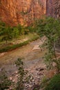 Sheer cliffs confine the Virgin River Royalty Free Stock Photo