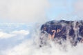 Sheer cliffs of Mount Roraima Royalty Free Stock Photo