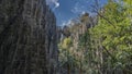 Sheer grey limestone cliffs of Tsingy De Bemaraha.