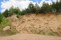 A sheer high sand wall with trees on top