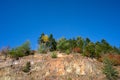 Trees atop rock face