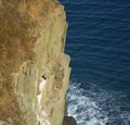 Sheer rock, going into the sea, where the birds nest.