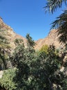 Shees valley in mountains area, wadi shees in uae