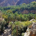 Shees valley in mountains area, wadi shees in uae