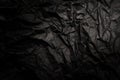 A sheet of black crumpled paper with folds and wrinkles. Dark paper texture Royalty Free Stock Photo