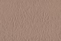 Sheet of crumpled brown craft paper background.