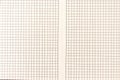 Sheet of engineering graph grid paper. Simple background texture for template, design or art.