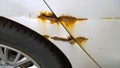 Sheet metal corrosion over wheel of old white car. Rusty messy surface with drops of water. Royalty Free Stock Photo