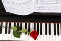 Sheet Music with Rose on piano