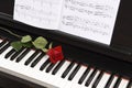 Sheet Music with Rose on piano Royalty Free Stock Photo